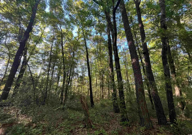 7th image of 135 Ben Horry Trail, Pawleys Island, SC 29585 | MLS# 2427620