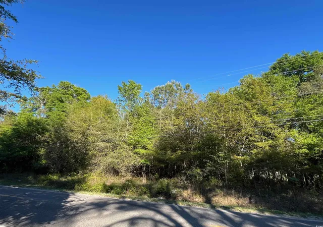 4th image of 2564 Petigru Dr, Pawleys Island, SC 29585 | MLS# 2427625