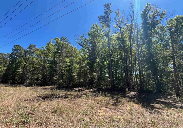 Photo 3 of Land for sale at 200 Petigru Dr, Pawleys Island, SC 29585 | MLS# 2427634 | Listing updated on 2026-07-30