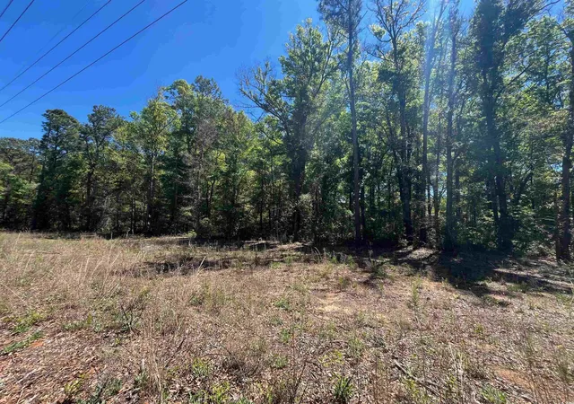 Photo 4 of Land for sale at 200 Petigru Dr, Pawleys Island, SC 29585 | MLS# 2427634 | Listing updated on 2026-07-30