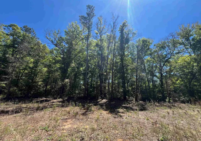 5th image of 200 Petigru Dr, Pawleys Island, SC 29585 | MLS# 2427634