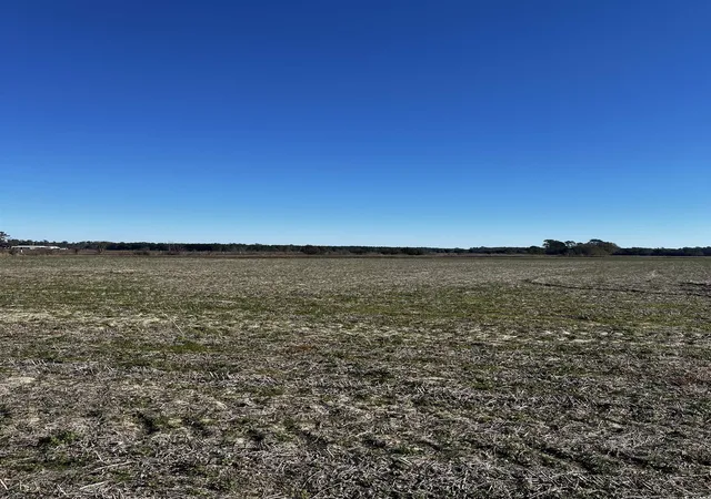 Photo 3 of Land for sale at 2292 Nichols Hwy, Aynor, SC 29511 | MLS# 2427882 | Listing updated on 2025-12-25