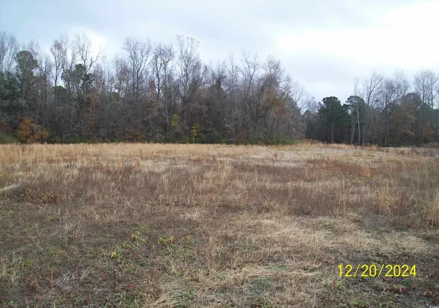 Homes for sale in Green Sea, SC | 4018 Buffkin Rd, Green Sea, SC 29545 | MLS# 2428434