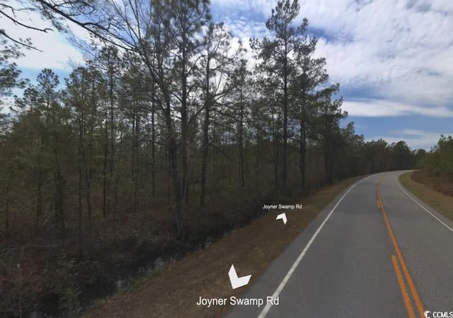 Photo 2 of Land for sale at Tbd Joyner Swamp Rd, Galivants Ferry, SC 29544 | MLS# 2428716 | Listing updated on 2026-06-18