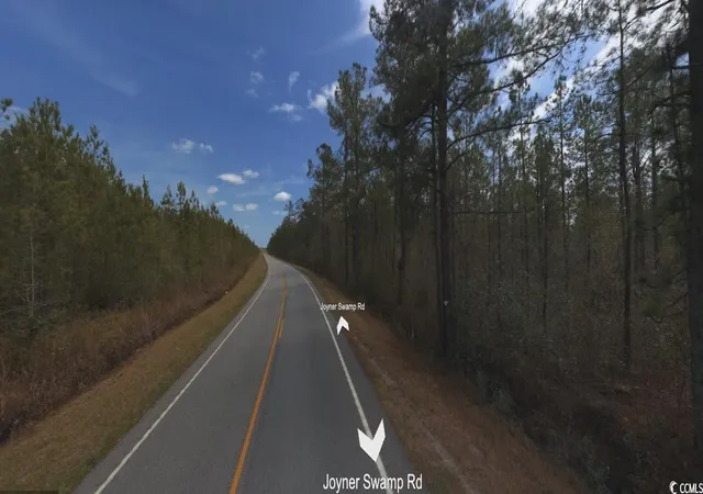 Photo 3 of Land for sale at Tbd Joyner Swamp Rd, Galivants Ferry, SC 29544 | MLS# 2428716 | Listing updated on 2026-06-18