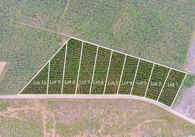 Homes for sale in Galivants Ferry, SC | Tbd Joyner Swamp Rd, Galivants Ferry, SC 29544 | MLS# 2502509