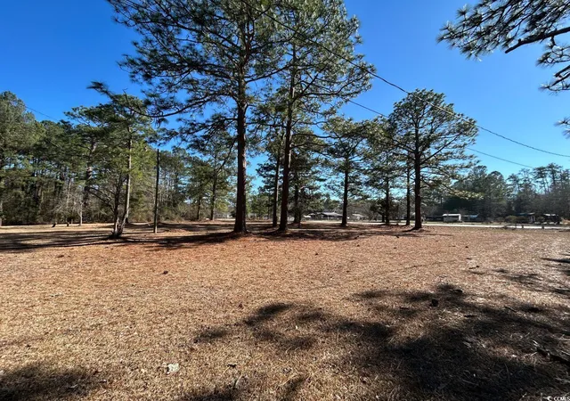 Homes for sale in Dillon, SC | 2618 Hwy 9, Dillon, SC 29536 | MLS# 2504986