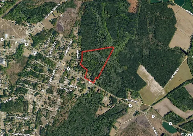 Homes for sale in Dillon, SC | 2618 Hwy 9, Dillon, SC 29536 | MLS# 2504986