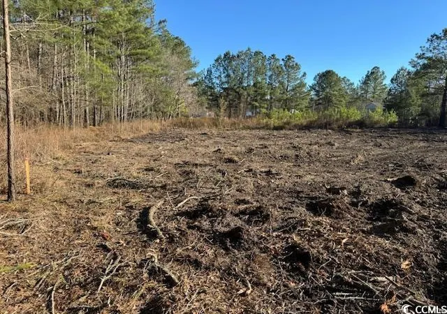 Photo 1 of Land for sale at Tbd Redmond Ct, Conway, SC 29526 | MLS# 2505872 | Listing updated on 2026-01-25