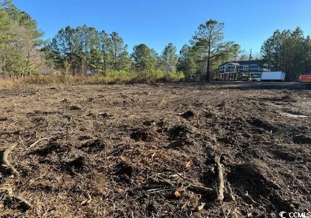 Photo 2 of Land for sale at Tbd Redmond Ct, Conway, SC 29526 | MLS# 2505872 | Listing updated on 2026-01-25