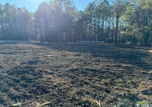 Photo 2 of Land for sale at Tbd Redmond Ct, Conway, SC 29526 | MLS# 2505873 | Listing updated on 2026-01-25