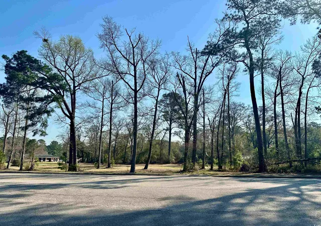 Photo 3 of Land for sale at Tbd N Main St, Nichols, SC 29581 | MLS# 2506571 | Listing updated on 2026-08-31