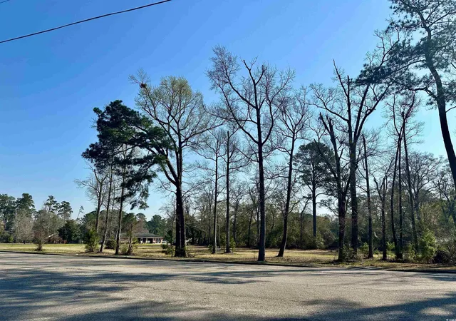 Photo 4 of Land for sale at Tbd N Main St, Nichols, SC 29581 | MLS# 2506571 | Listing updated on 2026-08-31