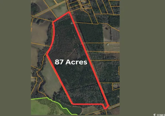 Photo 10 of Land for sale at Tbd Green Sea Rd, Green Sea, SC 29545 | MLS# 2508525 | Listing updated on 2026-03-25