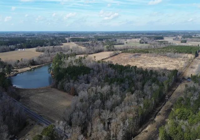 Photo 1 of Land for sale at Tbd Green Sea Rd, Green Sea, SC 29545 | MLS# 2508525 | Listing updated on 2026-03-25