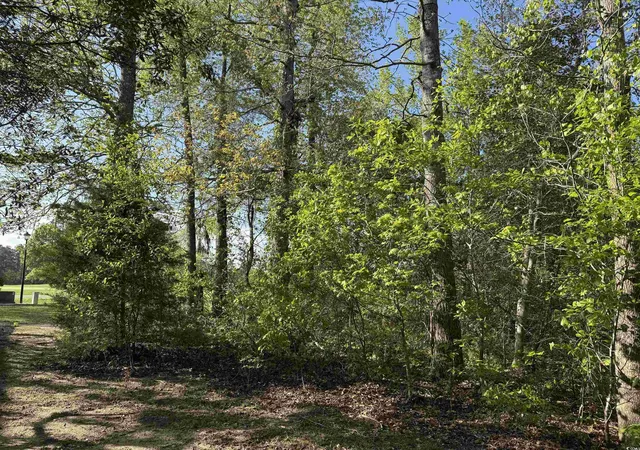 Photo 3 of Land for sale at 911 Shaftesbury Ln, Conway, SC 29526 | MLS# 2508971 | Listing updated on 2026-04-28