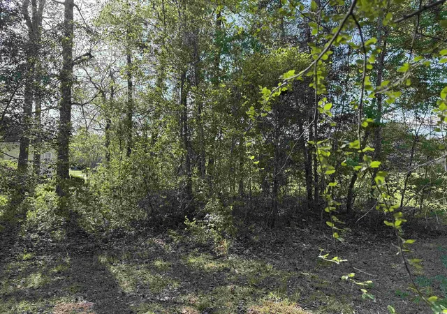 Photo 4 of Land for sale at 911 Shaftesbury Ln, Conway, SC 29526 | MLS# 2508971 | Listing updated on 2026-04-28