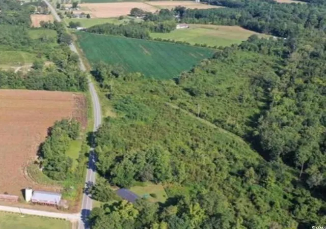 Homes for sale in Scranton, SC | Tract 4 Borkowitz Rd, Scranton, SC 29591 | MLS# 2509896
