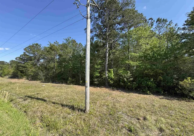 Photo 3 of Land for sale at Tbd Airport Rd, Loris, SC 29569 | MLS# 2509911 | Listing updated on 2026-06-18