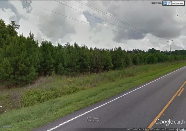 Photo 3 of Land for sale at Tbd100 Hwy 701 North, Loris, SC 29569 | MLS# 2510259 | Listing updated on 2026-09-01