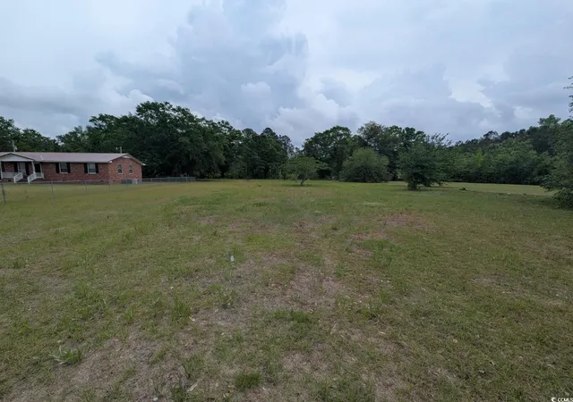 Homes for sale in Georgetown, SC | 450 Hayfield Rd, Georgetown, SC 29440 | MLS# 2510432