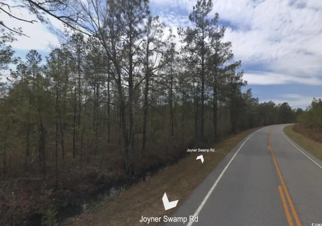 Photo 4 of Land for sale at 5610 Joyner Swamp Rd, Galivants Ferry, SC 29544 | MLS# 2510876 | Listing updated on 2026-05-20