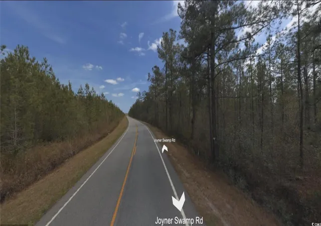 Photo 4 of Land for sale at 5580 Joyner Swamp Rd, Galivants Ferry, SC 29544 | MLS# 2510880 | Listing updated on 2026-05-20