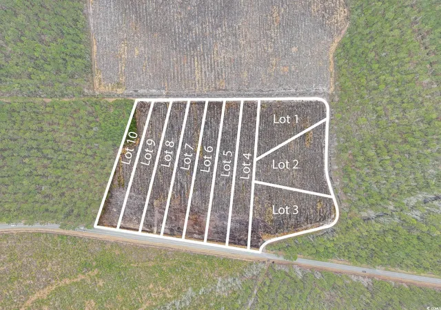 Photo 2 of Land for sale at 5530 Joyner Swamp Rd, Galivants Ferry, SC 29544 | MLS# 2510885 | Listing updated on 2026-05-20