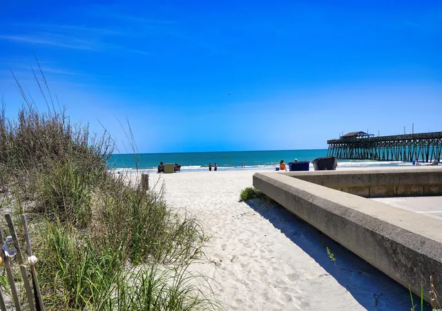 28th image of 126 N Waccamaw Dr #101, Garden City Beach, SC 29576 | MLS# 2510914
