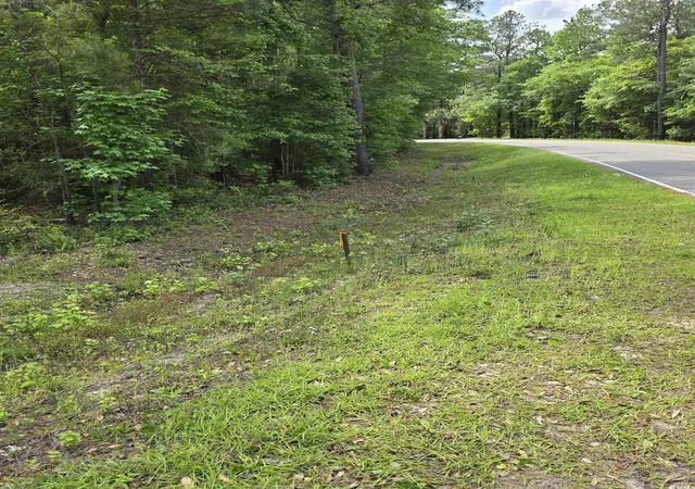 Photo 5 of Land for sale at Lot 17 Rowe Pond Rd, Conway, SC 29526 | MLS# 2511691 | Listing updated on 2026-07-29