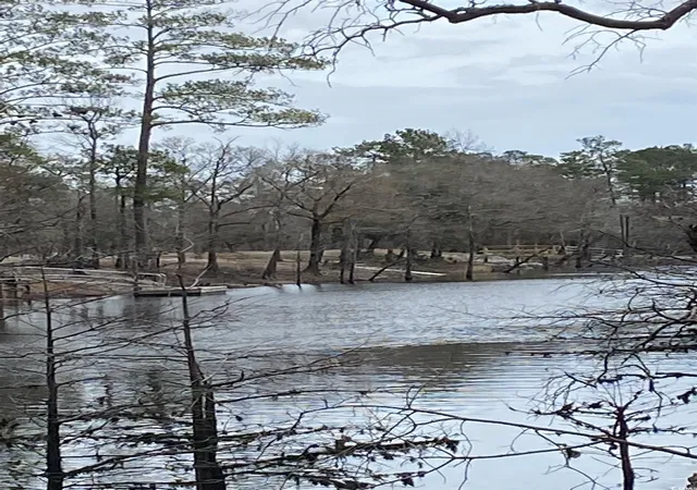 Photo 2 of Land for sale at Tbd Hidden River Rd, Longs, SC 29568 | MLS# 2514437 | Listing updated on 2026-07-03