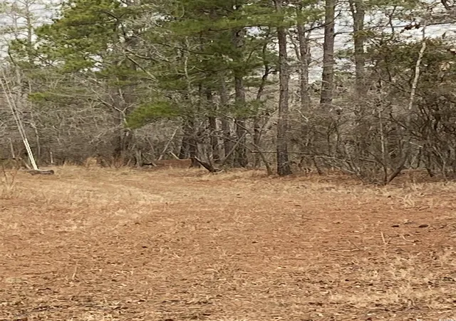 Photo 3 of Land for sale at Tbd Hidden River Rd, Longs, SC 29568 | MLS# 2514437 | Listing updated on 2026-07-03