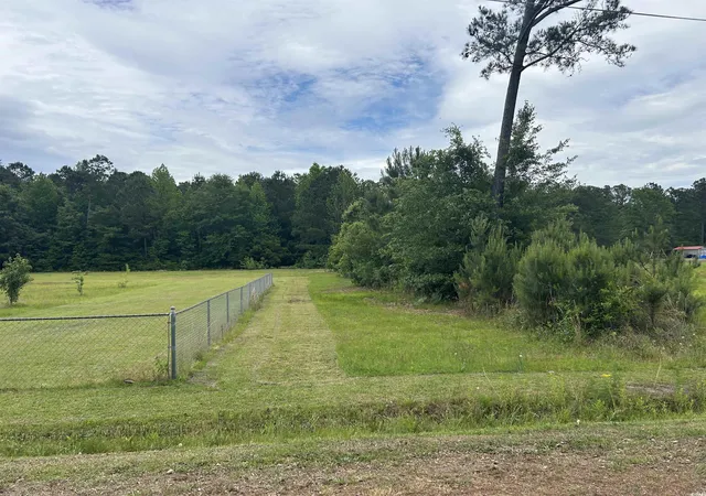 Homes for sale in Hamer, SC | Tbd Kentyre Rd, Hamer, SC 29547 | MLS# 2515267