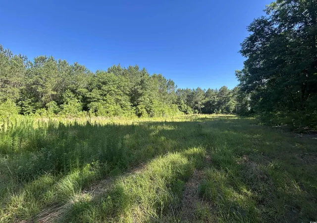 Homes for sale in Hamer, SC | Tbd Kentyre Rd, Hamer, SC 29547 | MLS# 2515267