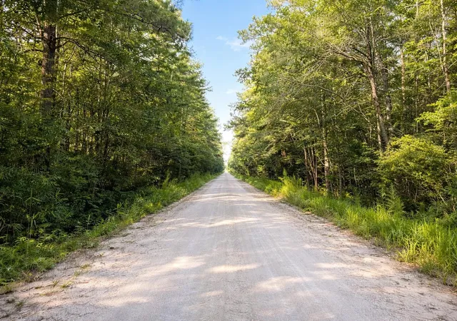 Homes for sale in Nichols, SC | Tbd Wolf Pit Bay Rd, Nichols, SC 29581 | MLS# 2515696