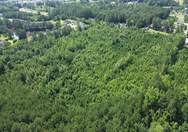 Photo 3 of Land for sale at Tbd Elbow Rd, Longs, SC 29568 | MLS# 2516774 | Listing updated on 2026-08-26