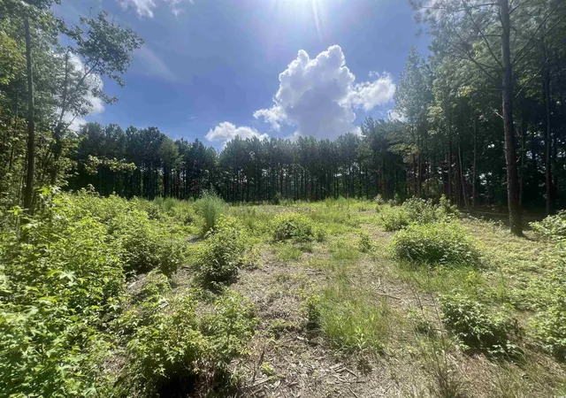 Photo 1 of Land for sale at Tbd Lot 6b Red Blf Rd, Loris, SC 29569 | MLS# 2517683 | Listing updated on 2026-07-16