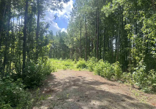 Photo 3 of Land for sale at Tbd Lot 6b Red Blf Rd, Loris, SC 29569 | MLS# 2517683 | Listing updated on 2026-07-16