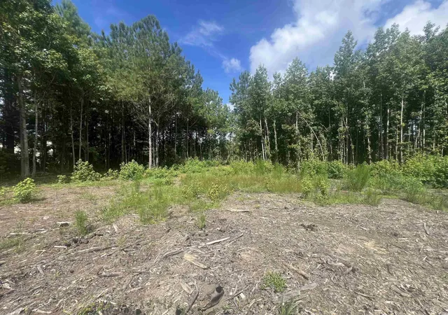 Photo 4 of Land for sale at Tbd Lot 6b Red Blf Rd, Loris, SC 29569 | MLS# 2517683 | Listing updated on 2026-07-16
