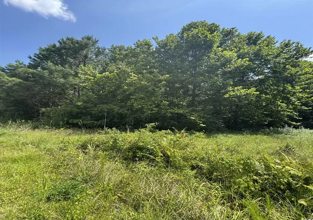 Photo 3 of Land for sale at Tbd Society Dr, Conway, SC 29527 | MLS# 2518077 | Listing updated on 2026-09-01