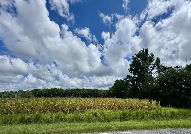 Photo 1 of Sale Pending at Tbd Pearl Rd, Galivants Ferry, SC 29544 | MLS# 2518104 | Listing updated on 2026-08-04