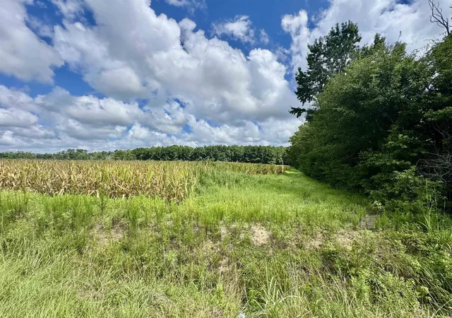 Photo 3 of Sale Pending at Tbd Pearl Rd, Galivants Ferry, SC 29544 | MLS# 2518104 | Listing updated on 2026-08-04
