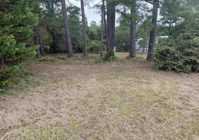 Homes for sale in Loris, SC | 2187 Armview Rd, Loris, SC 29569 | MLS# 2518388