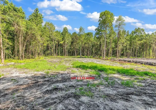 Homes for sale in Loris, SC | Lot 1 Coats Rd, Loris, SC 29569 | MLS# 2518532