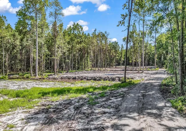 Homes for sale in Loris, SC | Lot 1 Coats Rd, Loris, SC 29569 | MLS# 2518532