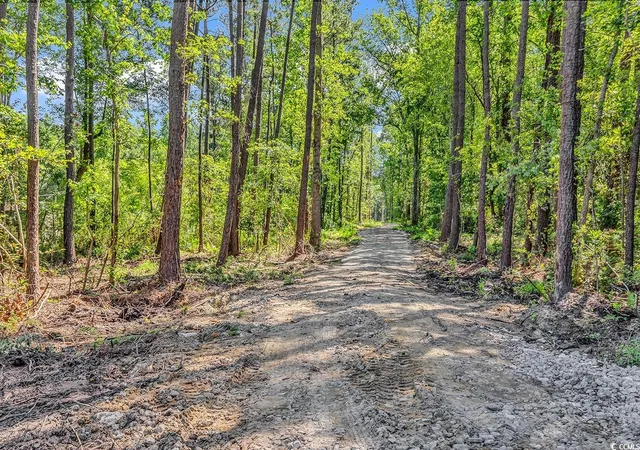 Homes for sale in Loris, SC | Lot 1 Coats Rd, Loris, SC 29569 | MLS# 2518532