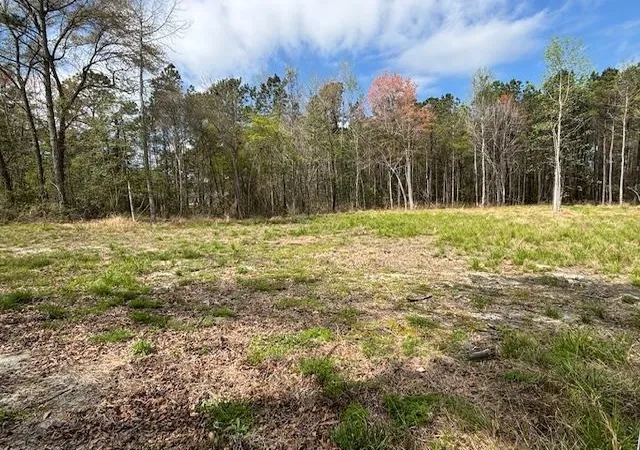 Homes for sale in Loris, SC | Lot 1 Coats Rd, Loris, SC 29569 | MLS# 2518532