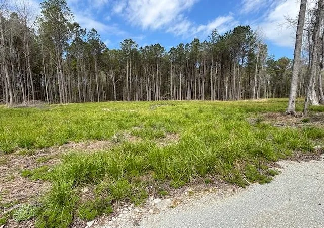 Homes for sale in Loris, SC | Lot 2 Coats Rd, Loris, SC 29569 | MLS# 2518535