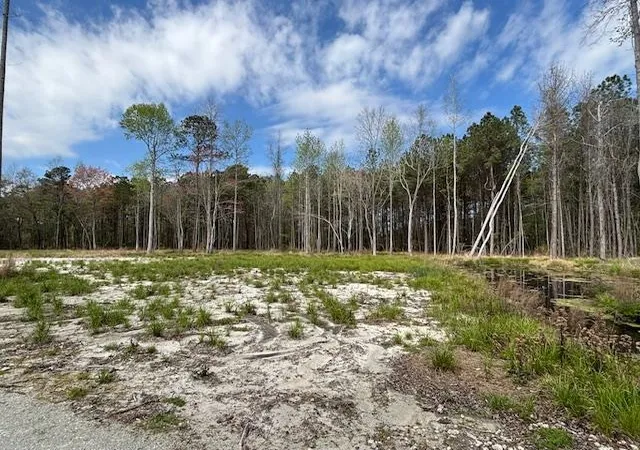 Homes for sale in Loris, SC | Lot 2 Coats Rd, Loris, SC 29569 | MLS# 2518535