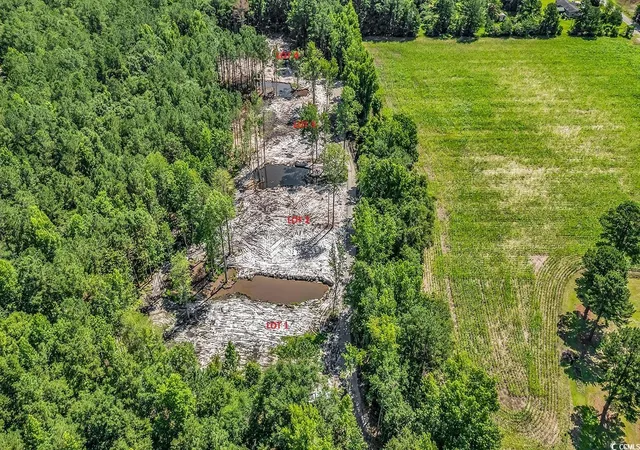 Homes for sale in Loris, SC | Lot 2 Coats Rd, Loris, SC 29569 | MLS# 2518535
